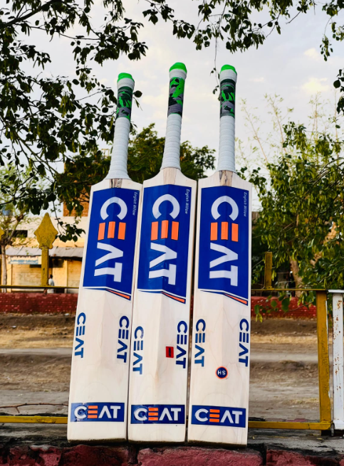 CEAT Kashmir Willow Cricket Bat | Hard Ball Performance | Premium Quality | MN Sports - Image 4