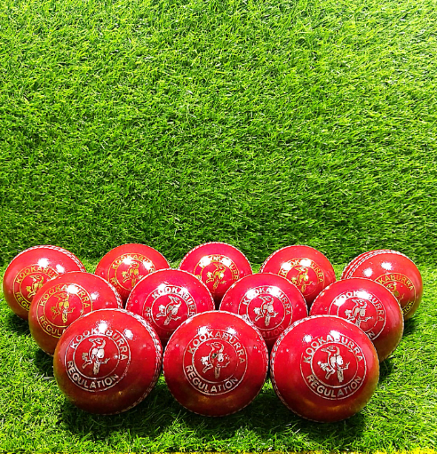 Custom Practice Cricket Balls – Red, Export Quality, Logo Stamping & Packaging – MN Sports Pakistan