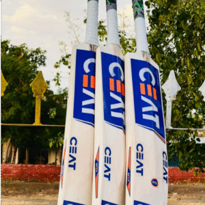 CEAT Kashmir Willow Cricket Bat | Hard Ball Performance | Premium Quality | MN Sports