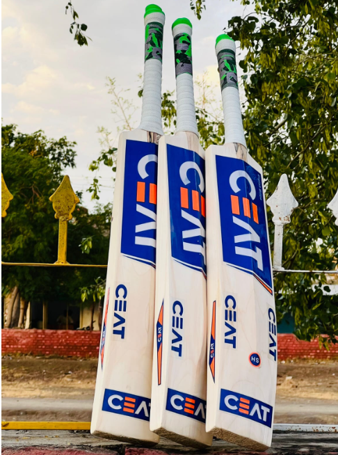 CEAT Kashmir Willow Cricket Bat | Hard Ball Performance | Premium Quality | MN Sports