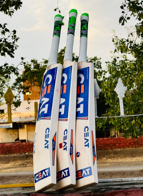 CEAT Kashmir Willow Cricket Bat | Hard Ball Performance | Premium Quality | MN Sports - Image 2