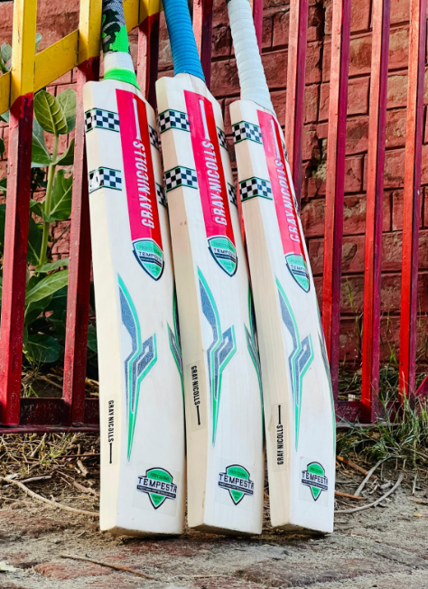 Gray Nicolls Kashmir Willow Cricket Bat | Hard Ball Performance | Premium English Brand | MN Sports